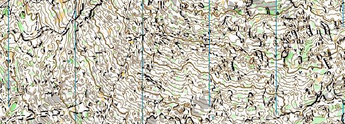 Piece of the training map for WOC 2011!