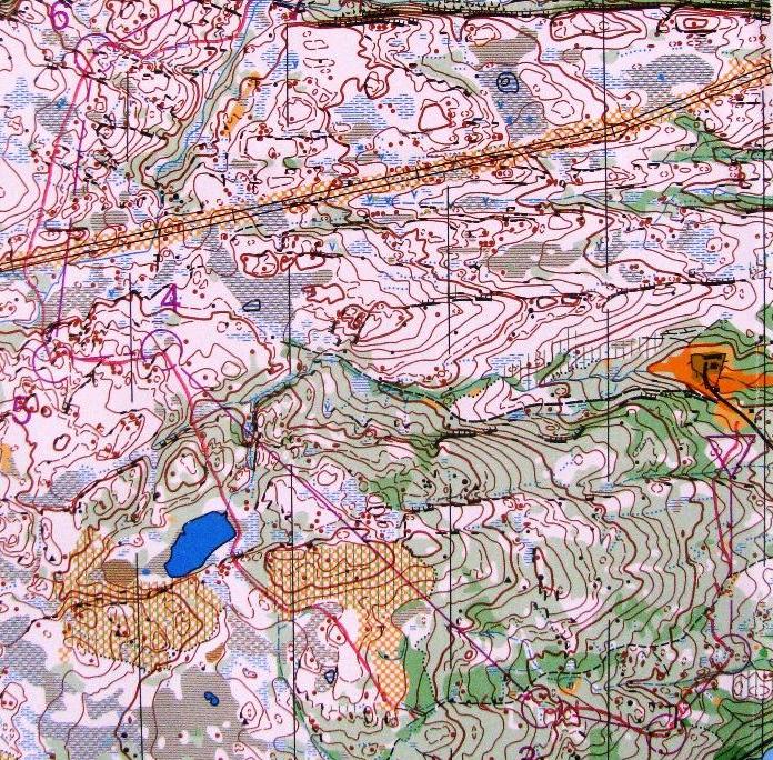 Jervskogen