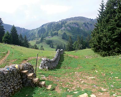 Terrain in the Swiss World Cup middle?
