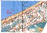 Mangalsala yreissi