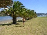 Jani under the palm trees