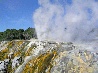Pohutu, the famous geysir in Rotorua