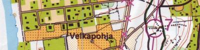 AM-pysu 2.kieppi