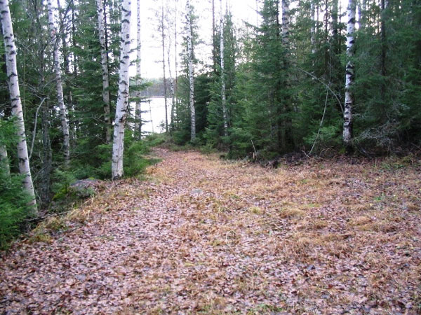 Lähtö